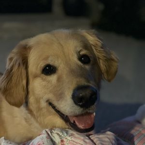 Meet your Posher, Billie